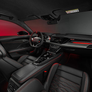  Audi Rs E Tron Gt 2024 İç